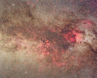 Northern Cygnus Star Clouds