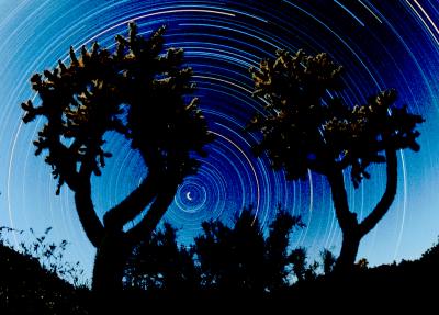 Star Trails Above Arizona