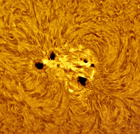 Sunspot 564