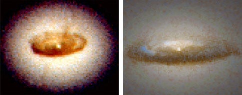 dust disks surrounding black holes