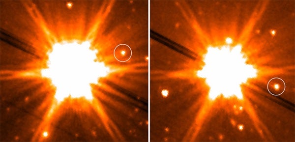 Brown dwarfs imaged
