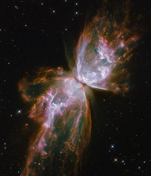 January 2010  gallery-Bug Nebula