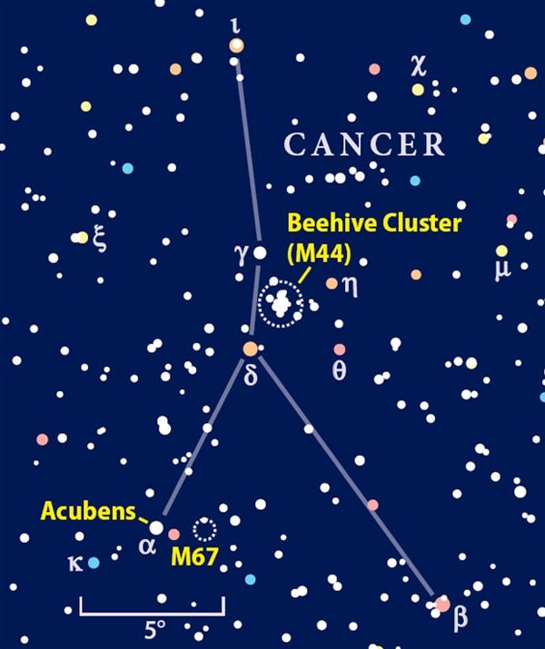 Cancer