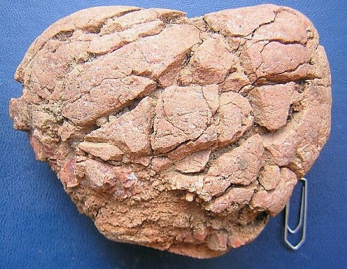 Chiemgau: fractured cobble