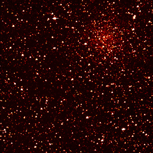 Cluster of stars in Kepler's sight