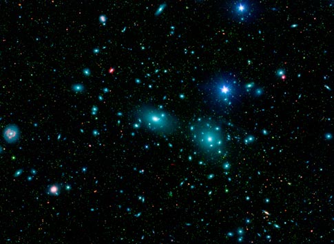 Coma cluster dwarfs