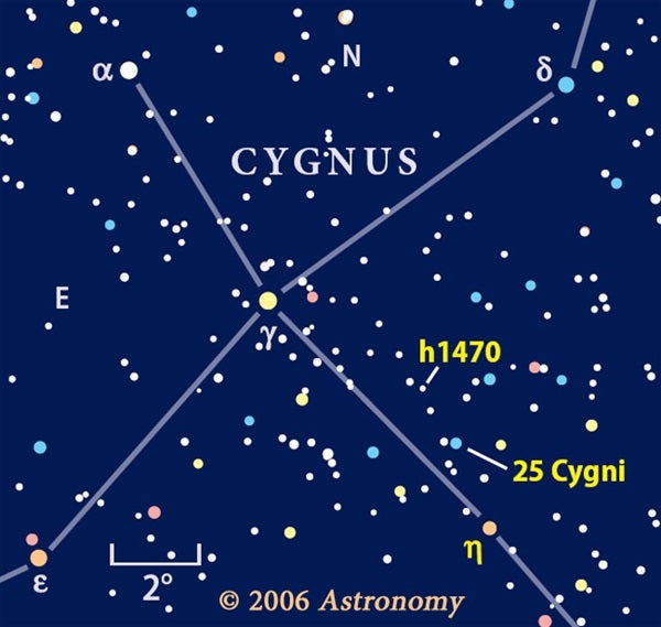 Cygnus