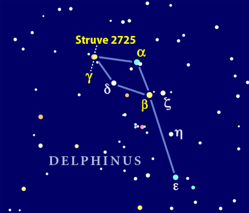 Constellation Delphinus
