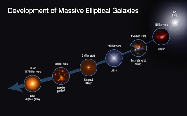 Development of massive elliptical galaxies