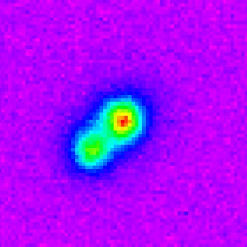 Epsilon Indi brown dwarfs