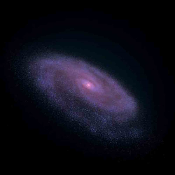 Development and evolution of a galaxy disk