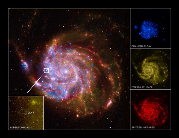 extreme black hole in Pinwheel Galaxy