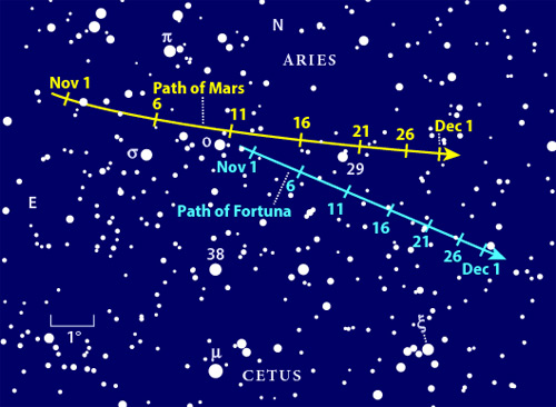 Asteroid 19 Fortuna