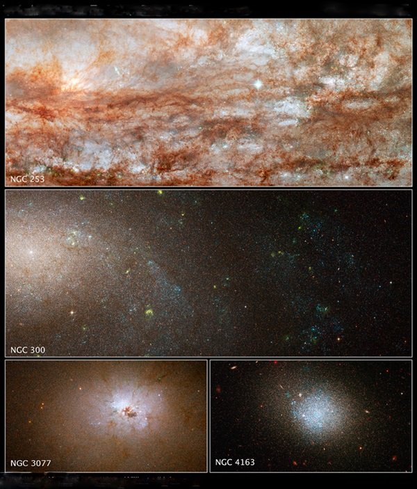 Hubble snaps close-up views of diverse galaxies