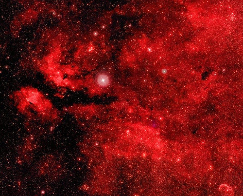 Gammi Cygni 