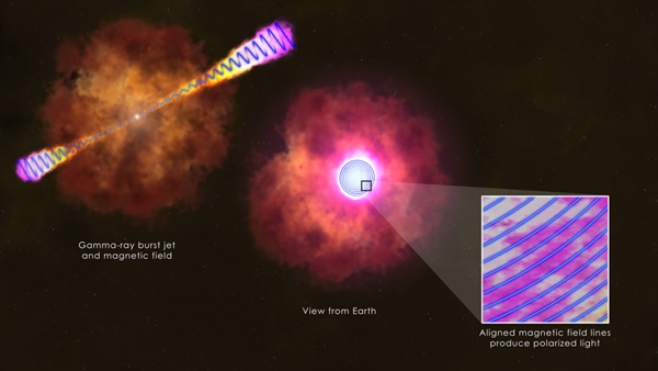 Gamma-ray burst jet's magnetic field