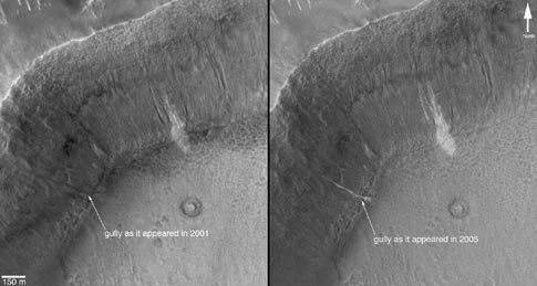 Gully delopsit in Terra Sirenum