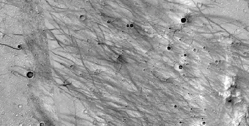 Dust devil tracks in Gusev Crater