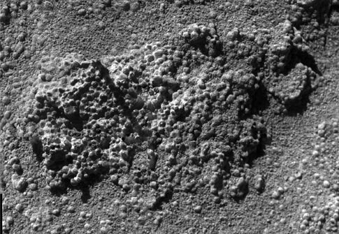 Mars rock