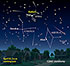 The 2007 Lyrid meteor shower