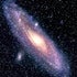 M31