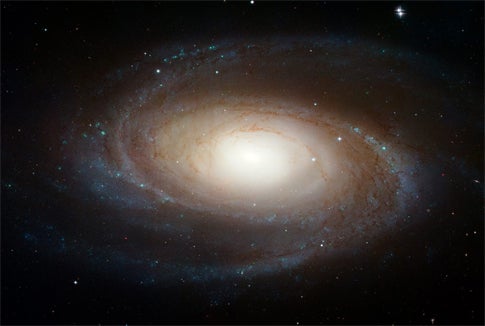 M81