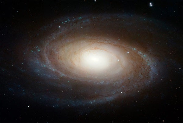 M81