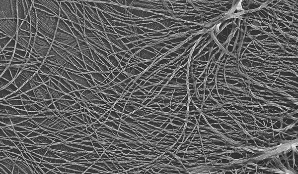 Cellulose microfibers