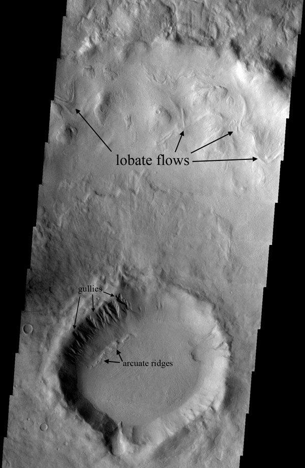 Martian gullies and arcuate ridges