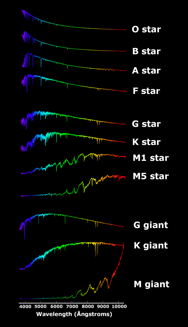 mastarspectra