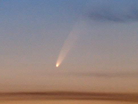 Comet McNaught