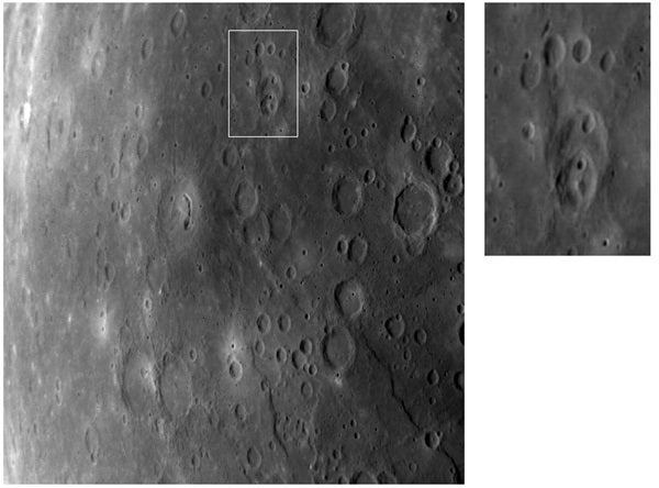 Mercury paw print