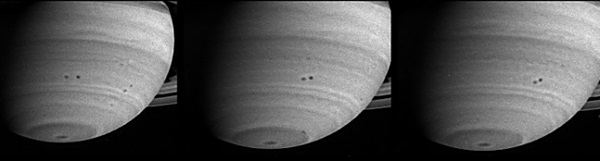 Merging Saturn storms