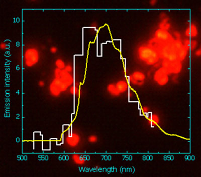 The fluorescence spectrum of nanodiamonds