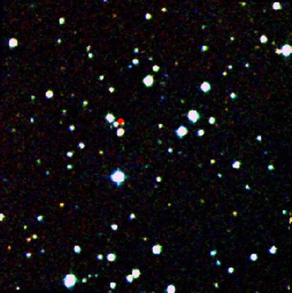 A nearby star stands out in red in this image from the Second Generation Digitized Sky Survey.
