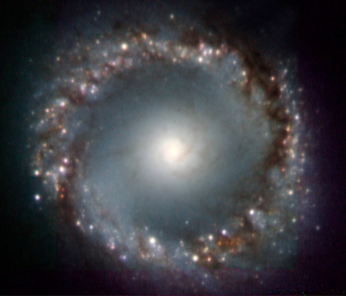 NGC 1097 filaments