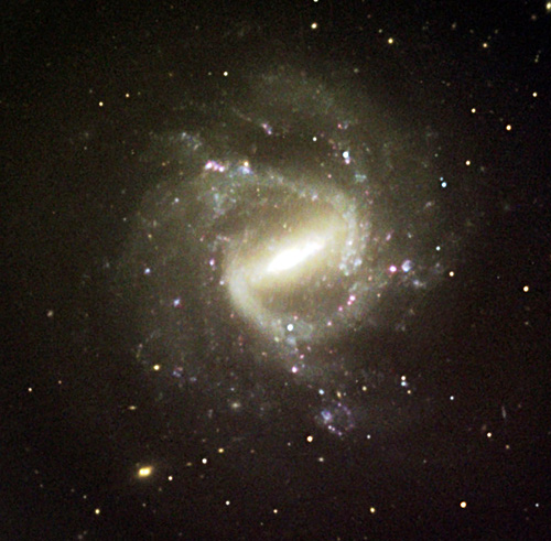 Barred spiral NGC 1073