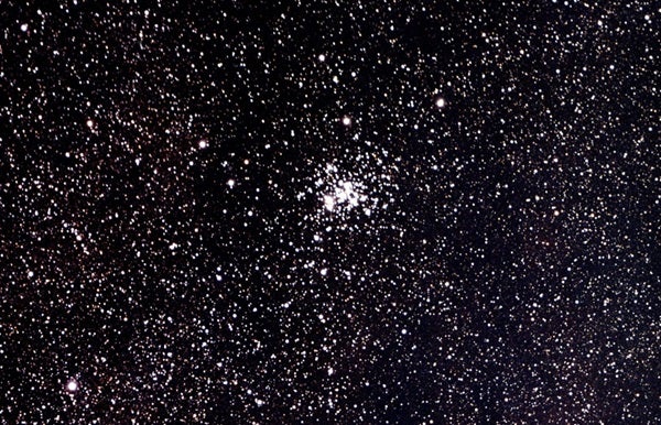 NGC 6231