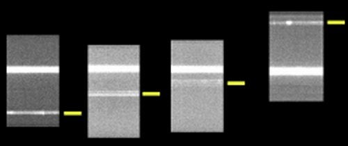 Cometary movement