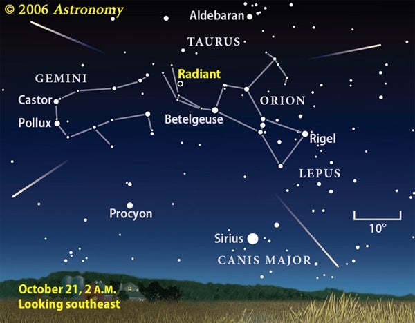 Orionids