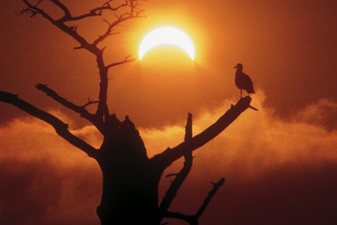 Partial solar eclipse