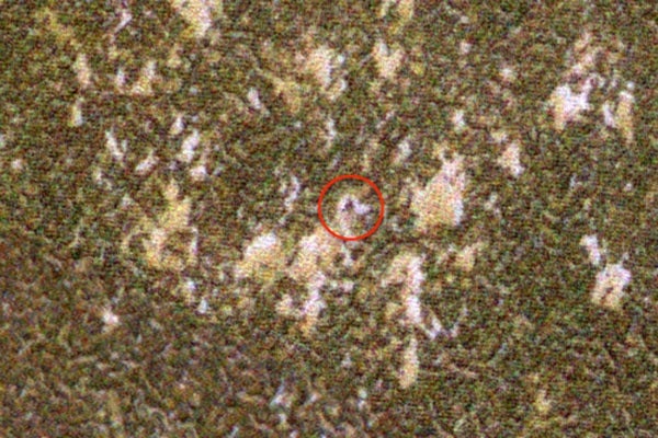 Phoenix lander in winter