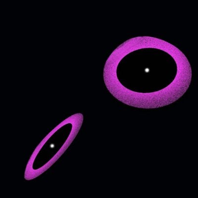 Neighboring stars exhange dust and planets