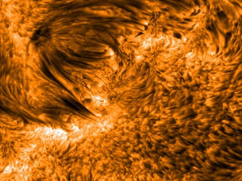 Solar spicules and active region 10380