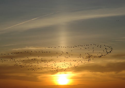 Sun pillar