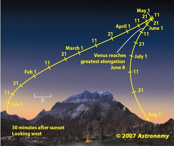Venus dazzles
