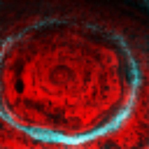 Melanthius