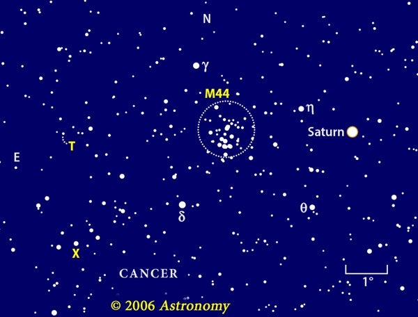 X and T Cancri