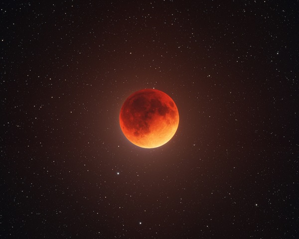 Totality touches the Moon during the lunar eclipse on November 8