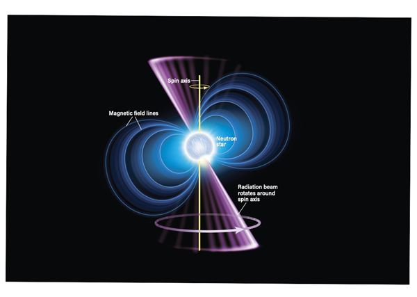 Plain neutron stars, pulsars, and magnetars have a few basic features in common, like spin, magnetic fields, and density. Pulsars stand out because of their clocklike radiation pulses. Credit: Astronomy: Roen Kelly
